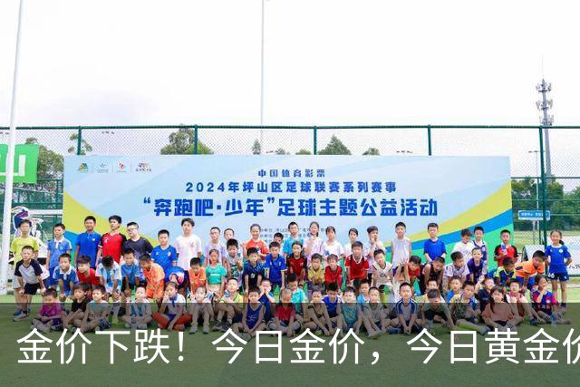 金价下跌！今日金价，今日黄金价格多少钱一克